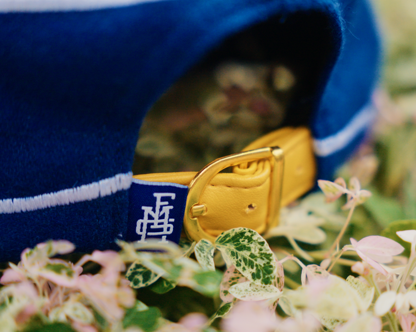 MADE FOR GRIT - MFG PILLBOX CAP